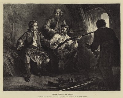 Prins Charles in het verborgene door J.B. MacDonald
